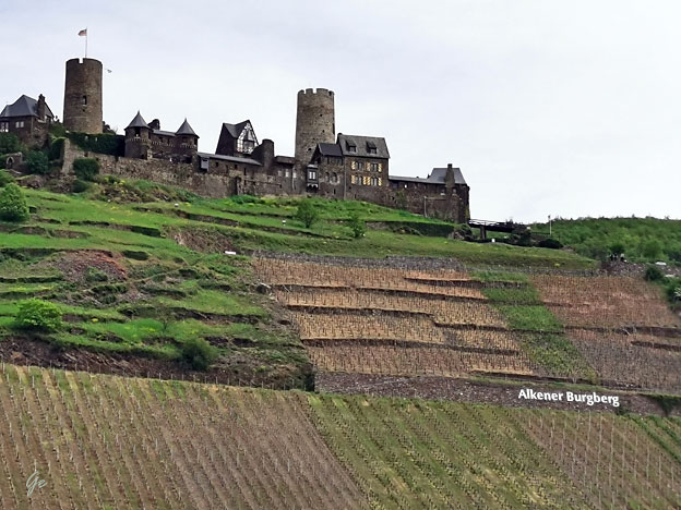 Mosel_Alken_Thurant-Castle