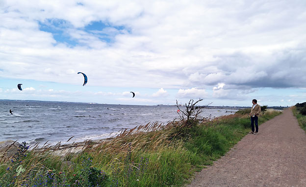 Svenskekysten_havkiting