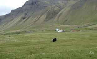 Faroe_Islands_Vagar_Gaasadalur