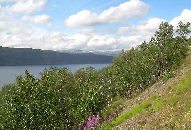 Finnmark_mot_Ifjordfjellet