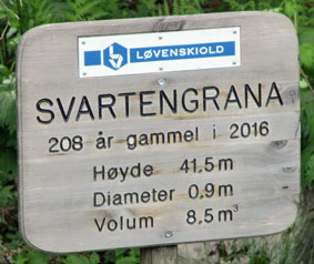 Nordmarka_Svarten