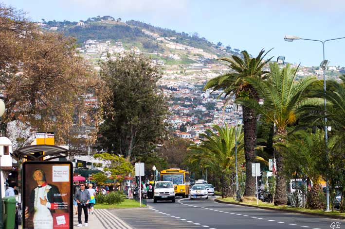 Madeira_Funchal