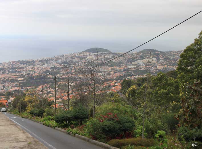 Madeira_Monte