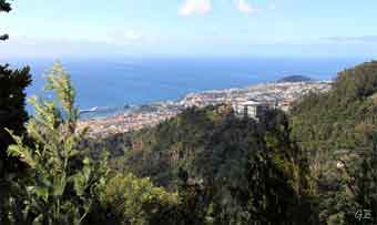 Madeira_Monte_Camacha_levadavandring