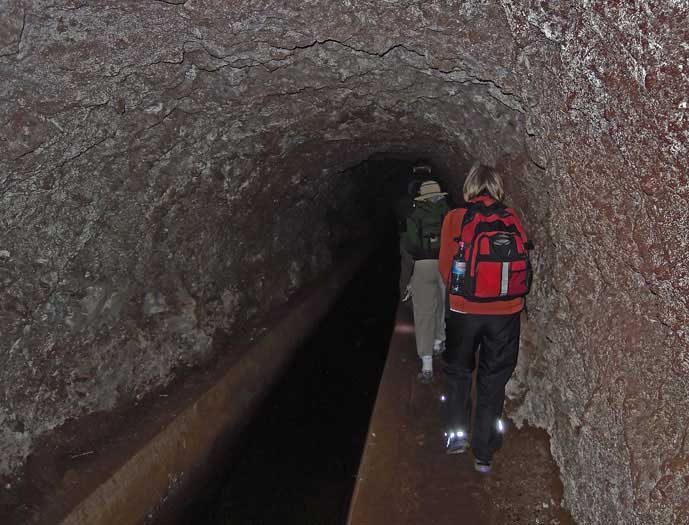 Madeira_Monte_Camacha_levadavandring_tunnel