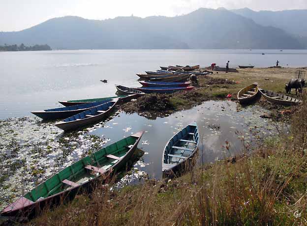 Nepal_Pokhara_Lake_Fewa