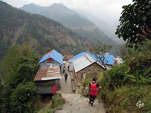 Nepal_trekking_Pothana_Ghandruk