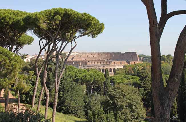 Roma_Palatin_fra_Palatin_mot_Colosseum