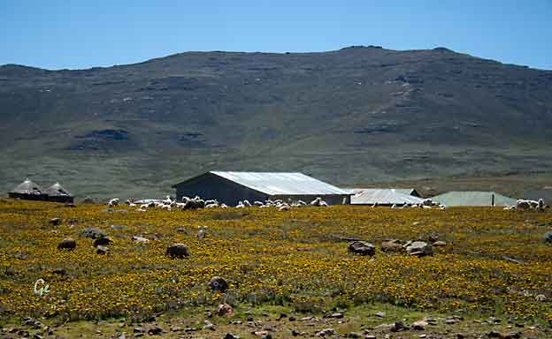 Lesotho_Sani-Pass