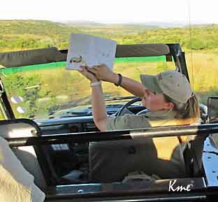 South-Africa_Springbok-Lodge_safari_Tascha