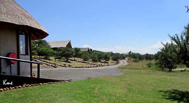 South-Africa_Springbok_Lodge
