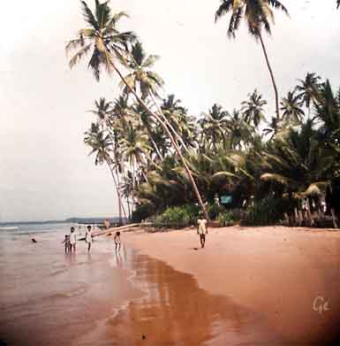 Sri-Lanka_Ceylon_Hikkaduwa