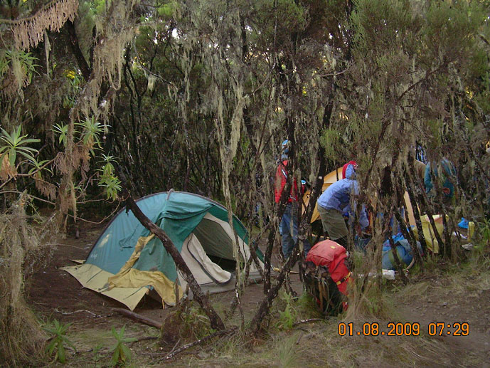 Tanzania_Kilimanjara_Mweka-leiren
