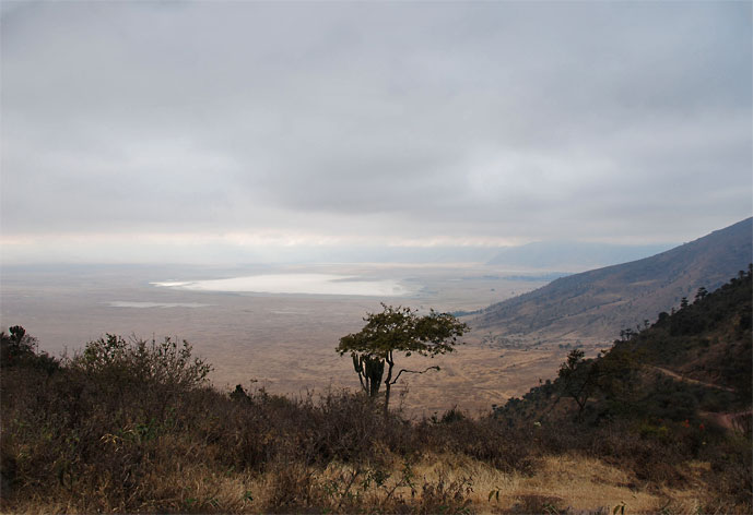 Morgen_i_Ngorongoro