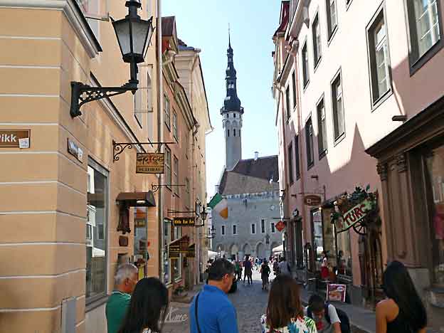 Cruise_Tallinn