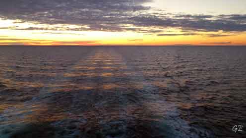 Pearl_Seaways_DFDS_solnedgang