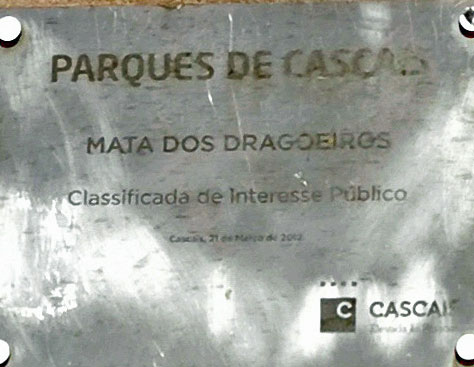 Cascais_Parken-Palmela