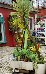 Cascais_House-of-wonders