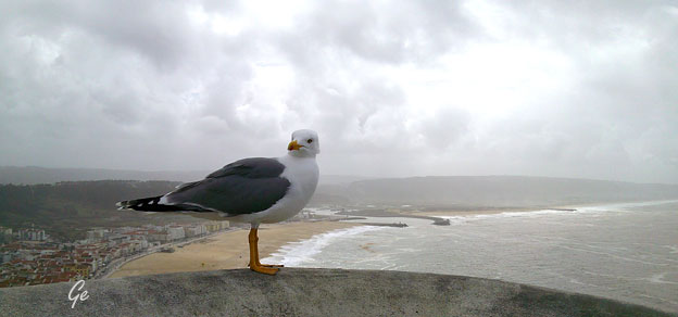 Nazare_utsiktspunktet